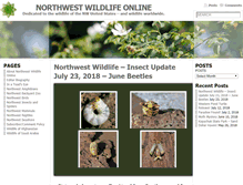 Tablet Screenshot of northwestwildlifeonline.com
